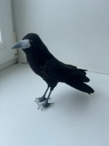 Районный конкурс "Птица года - Грач".